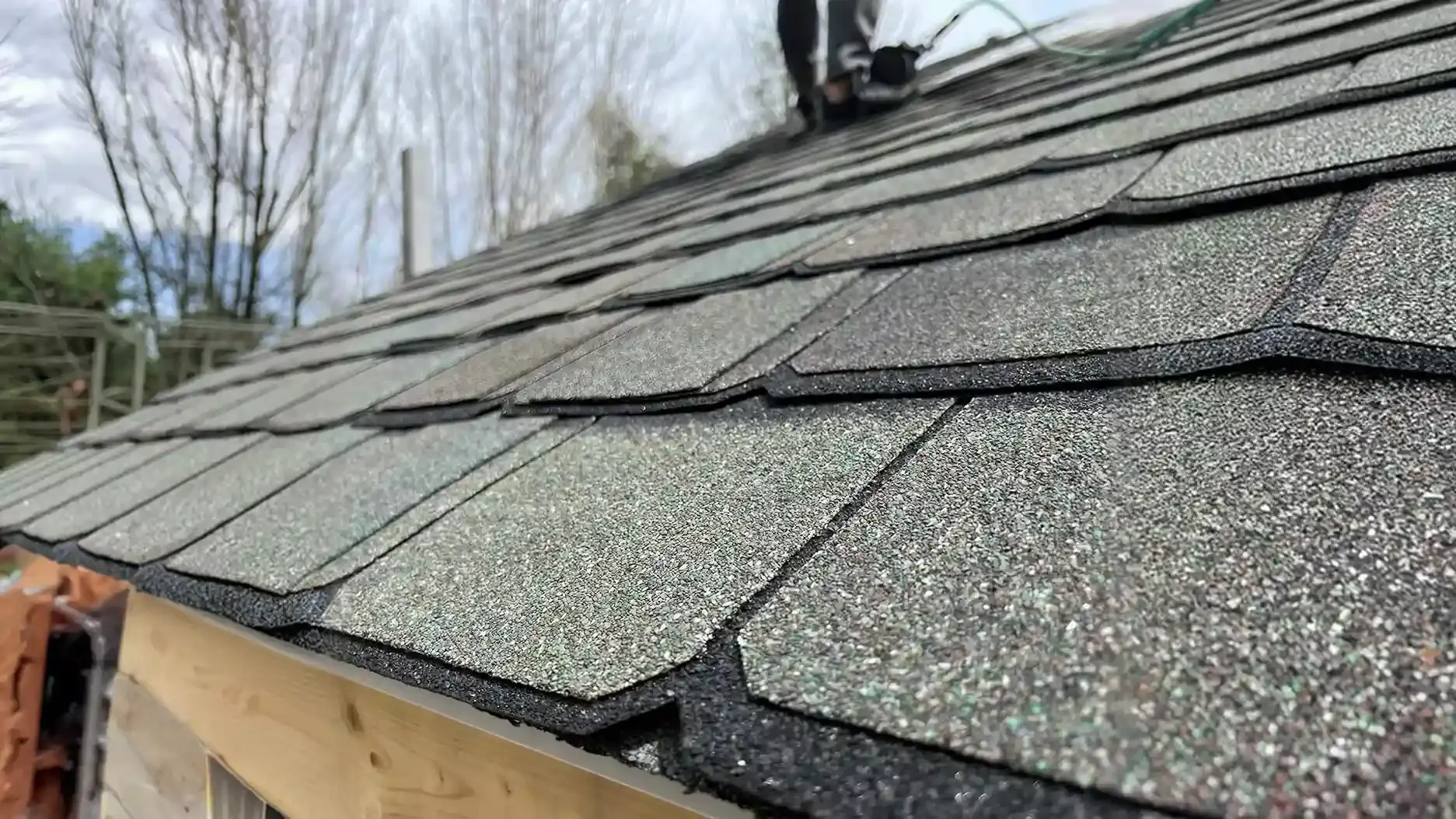 Asphalt shingles Florida climate close up Asphalt shingles Florida climate close up