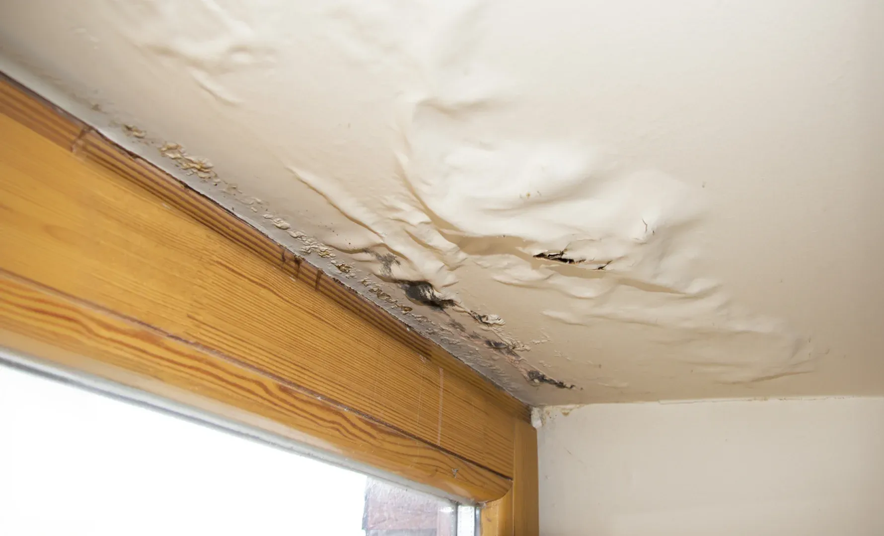 Homeoowner looking at ceiling water stain Homeoowner looking at ceiling water stain
